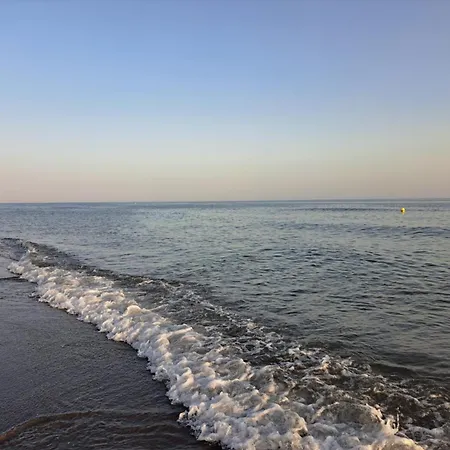 Costa Zj *